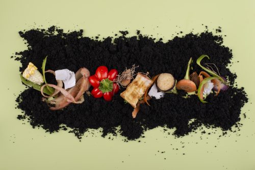 compost avec biodéchets